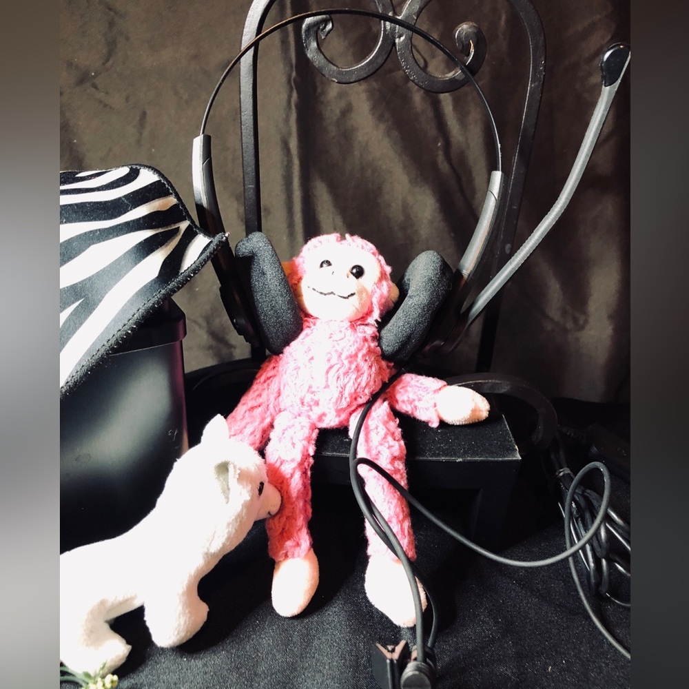 Headset and Microphone